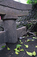 Torii Detail