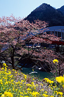 Bridge Over Gorge