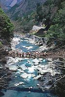 Bridge Over River