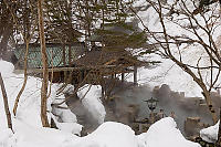 Takaragawa Onsen