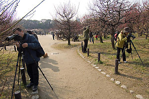 Photographers In Garden