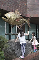 Human Power Fish Sculpture