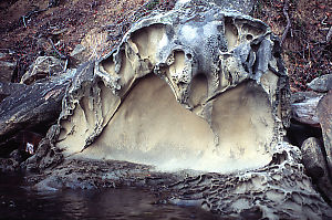 Shelf Of Eroded Sand Stone