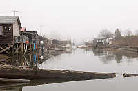 Finn Slough At Water Level