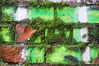 Green Brick And Shadows