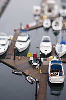 Plastic Chairs On Dock