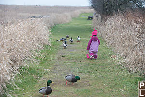 Claira Chasing Down The Ducks