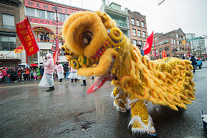 Yellow Lion Dancing Close