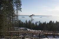 Trestle Walkway With Freighters