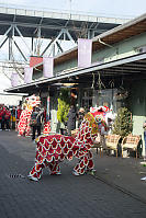 Lions In Rail Spur Alley