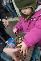 Nara Putting Seeds On Bird Feeder