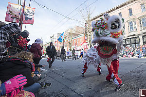 Chinese Dancing Lion At Parades Edge
