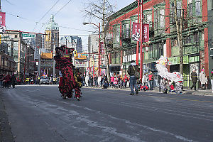 Lion Walking To Parade Start