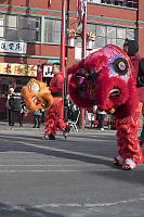 Walking With Lion Costumes