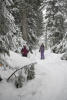 Hking In Snow Covered Forest