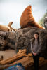 Claira With Sea Lions