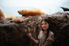 Claira With Smaller Sea Lions