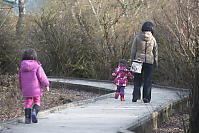 Walking Down The Boardwalk