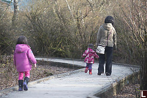 Walking Down The Boardwalk