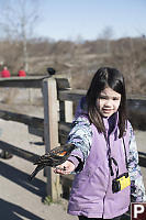 Claira With Red Winged Black Bird