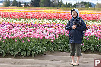 Helen In Field Of Tulips