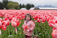 Nara With Pink Tulips