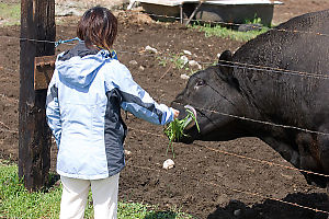 Helen Making A New Friend