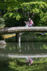 Helen Nara Claira With Reflection On Bridge