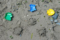 Sand Molds On The Beach