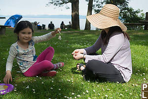 Nara Made Daisy Ring