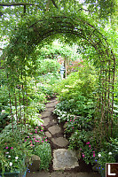 Arch In Back Yard