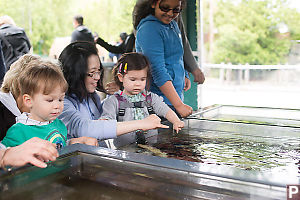 Nara And Helen Touching Tidepool Animals