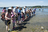 Pulling In The Beach Net