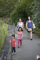 Walking Next To The Pond