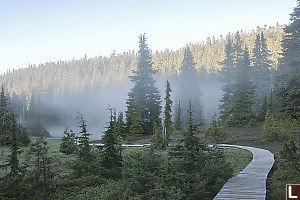 Lake Fog As Sun Rises