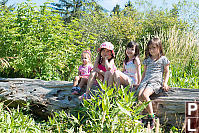 Four Kids On Log
