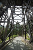 Kinsol Trestle Covers Sky