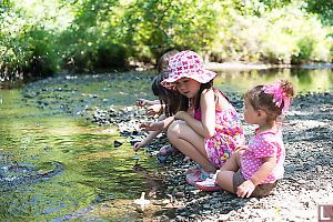 Throwing Rocks Into River