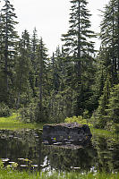 Glacial Remnant Reflected In Pond