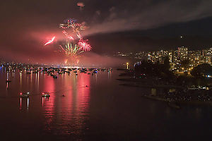 Flower Arrangement In Fireworks