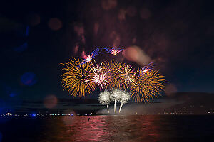 Blue And Red Flowers Over Gold