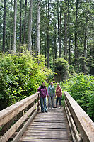 Bridge Over Small Creek