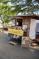 Curry Trailer