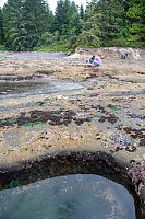 Kids Looking In Tide Pools