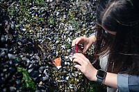 Nara Taking Photos Of Octopus