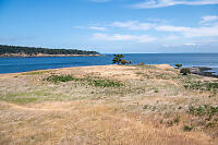 Tumbo Island From East Point