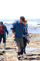 Harvey June And Janice Looking For Pools