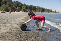 Nara Pushing ALog Up The Beach