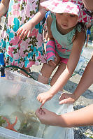 Nara Touching Tiny Green Urchin