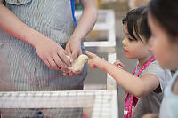 Claira Petting Baby Chicken